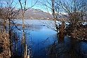 Lago Piccolo di Avigliana ghiacciato_035